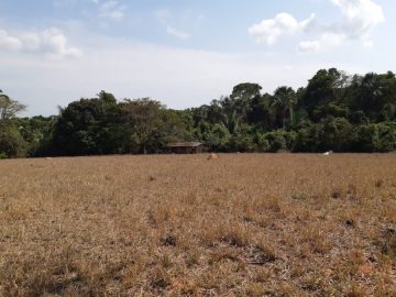 Fazenda - Venda - Zona Rural - Pontal - MT